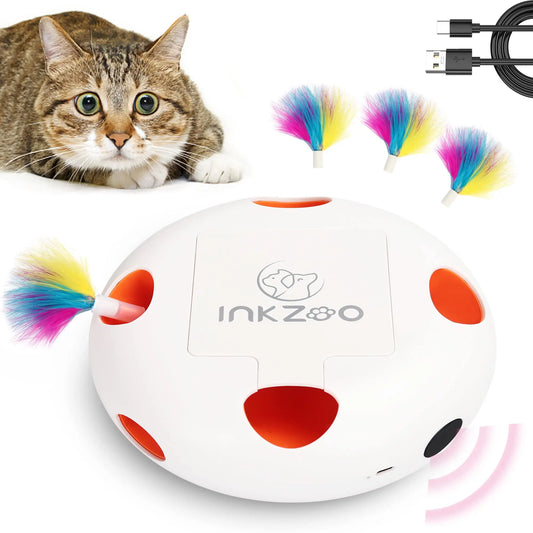 Whack-A-Mole Cat Fun