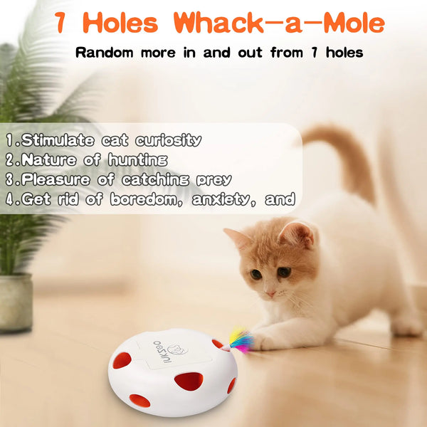 Whack-A-Mole Cat Fun