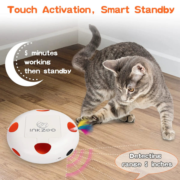 Whack-A-Mole Cat Fun
